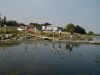 P1010006.JPG